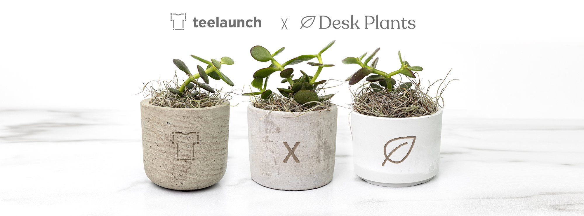 Bring Nature to Your Desk with Our New Custom Desk Plants