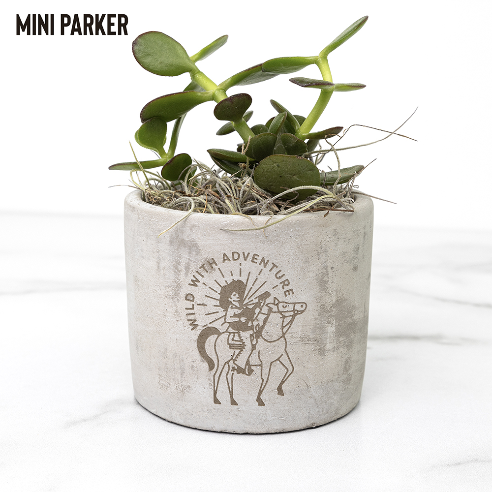 Bring Nature To Your Desk With Our New Custom Desk Plants