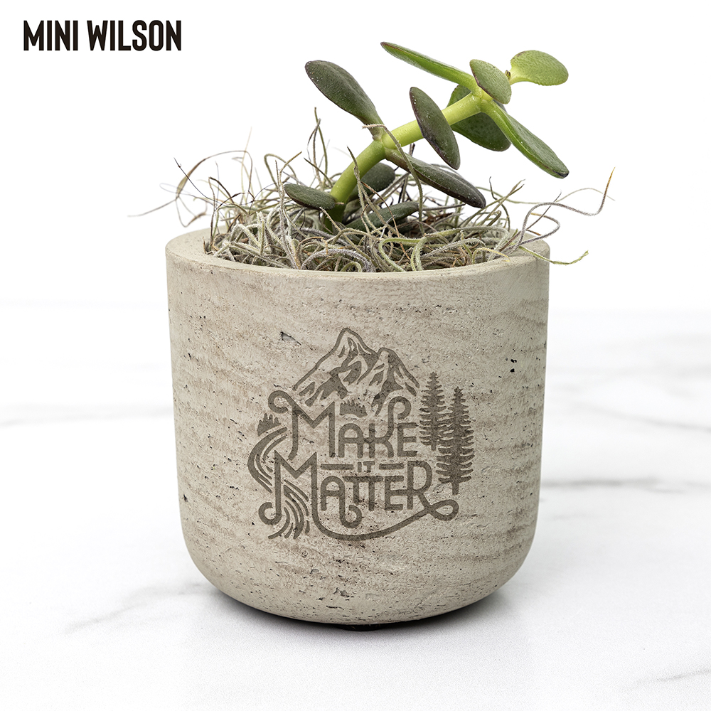 Bring Nature To Your Desk With Our New Custom Desk Plants